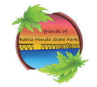 Friends of Bahia Honda State Park